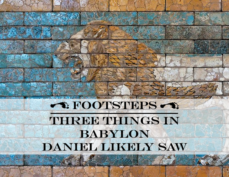 babylon windle1