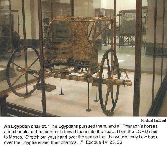 Egyptian Chariot