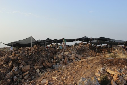 IMG 0004 WEB